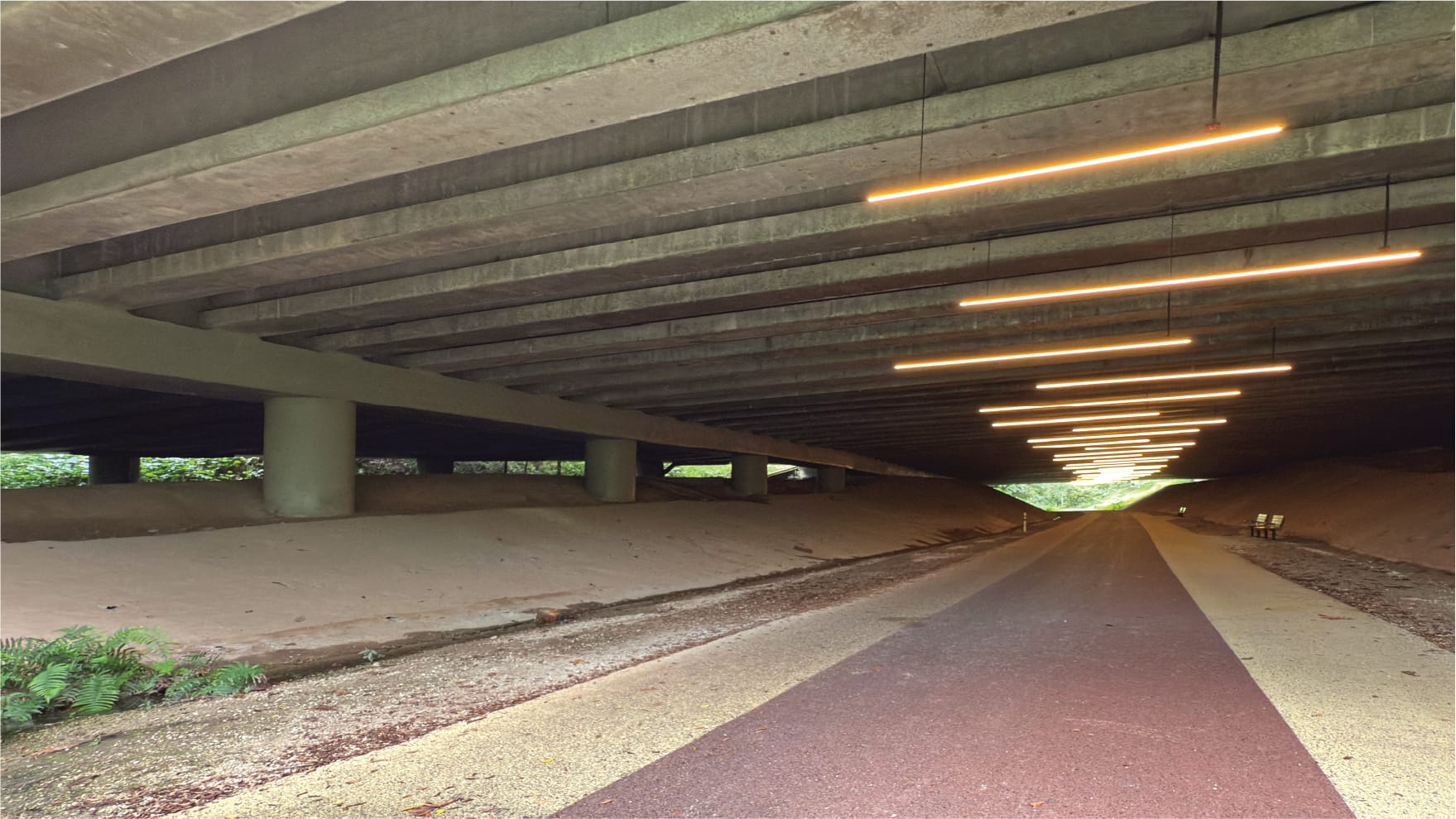 Photo of existing park connector under Queensway flyover